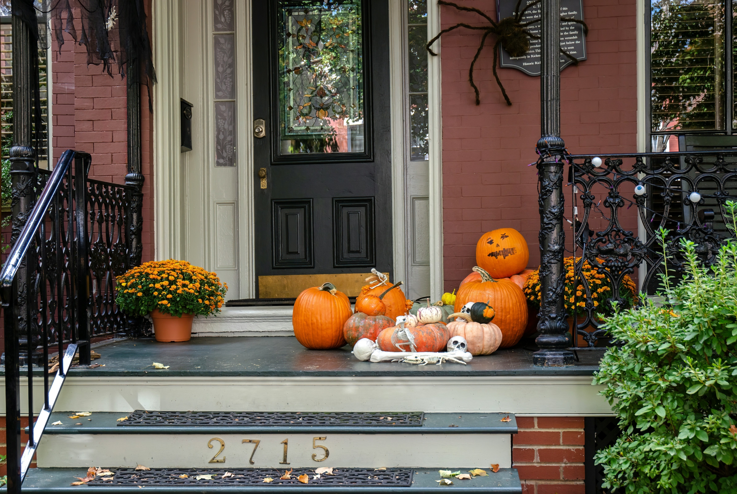 A front porch with plants and pumpkins
